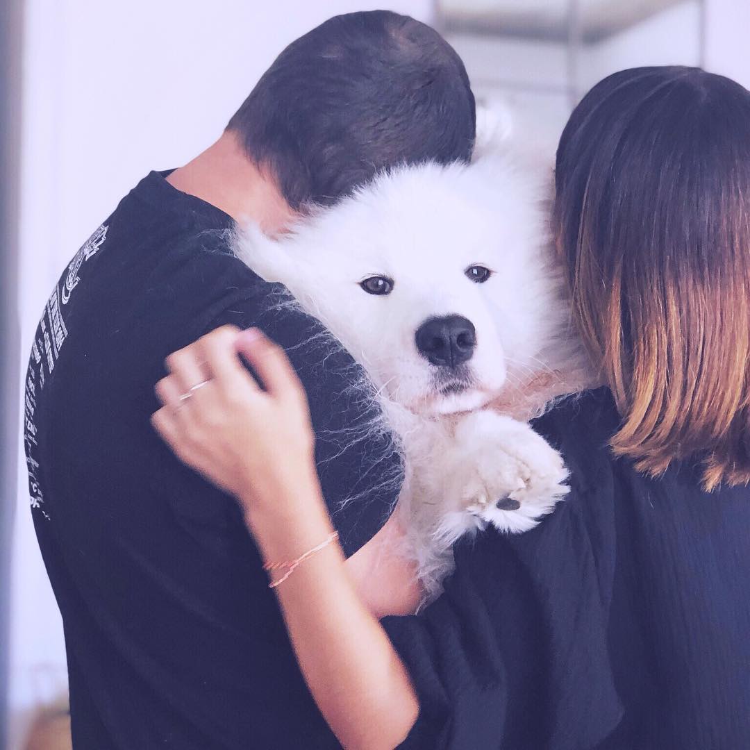 2018-09-07 - 🌭🤣#Samoyede #family #love #dog